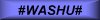 [#WASHU#]